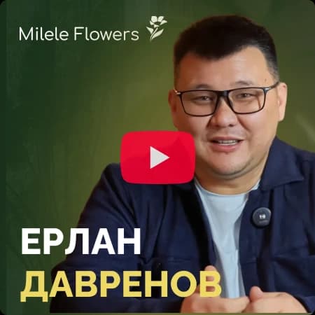 Ерлан Давренов - Milele Flowers